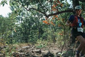 BIB: 
                            <button type="button" onclick="openModal(26115276)" class="btn btn-primary btn-sm float-right btn-popup" data-toggle="modal" data-target=".modal-high-quality">
                        <i class="fas fa-shopping-cart"></i> Add to Cart
                    </button>
                                            <button type="button" onclick="isThisMe(26115276, true)" class="btn btn-success btn-sm float-right btn-popup btn-isme hidden" data-toggle="tooltip" data-placement="bottom" title="นี่คือรูปของคุณใช่ไหม คลิกที่นี่เพื่อเอาเข้าอัลบั้ม">
                        <i class="fas fa-plus"></i> Add to album
                    </button>
                    <button type="button" onclick="isThisMe(26115276, false)" class="btn btn-warning btn-sm float-right btn-popup btn-isnotme hidden">
                        <i class="fas fa-ban"></i> Remove from album
                    </button>